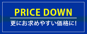 大感謝特別キャンペーン